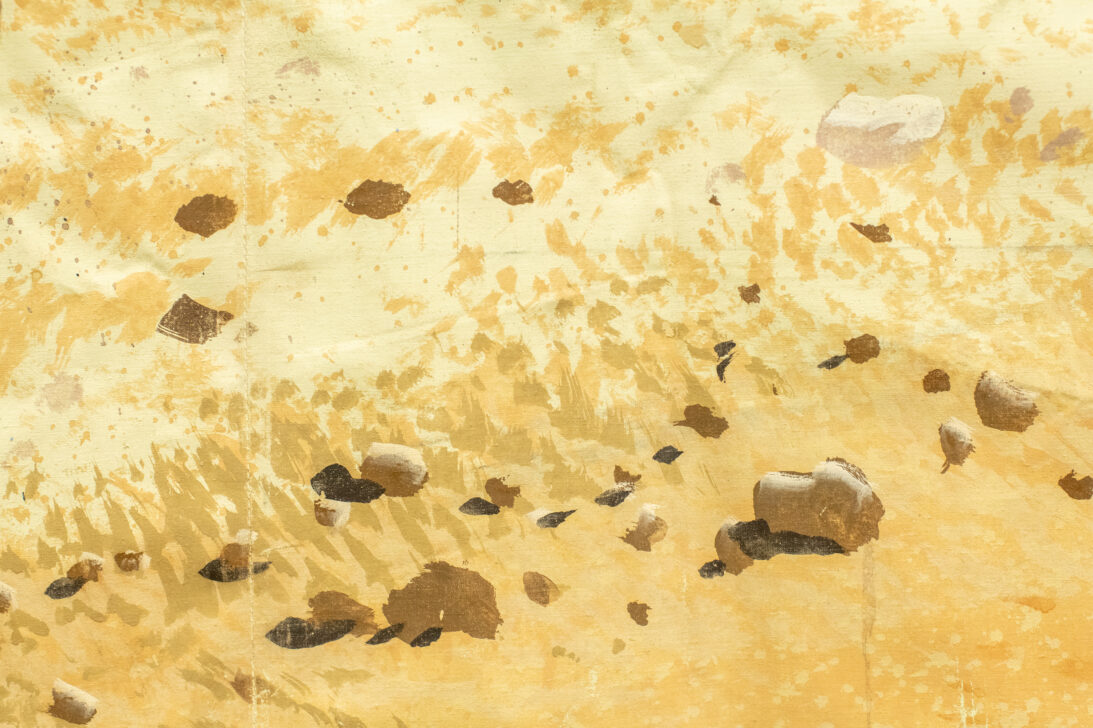 'Desert Canyon Pass' backdrop from Kim, detail shot
