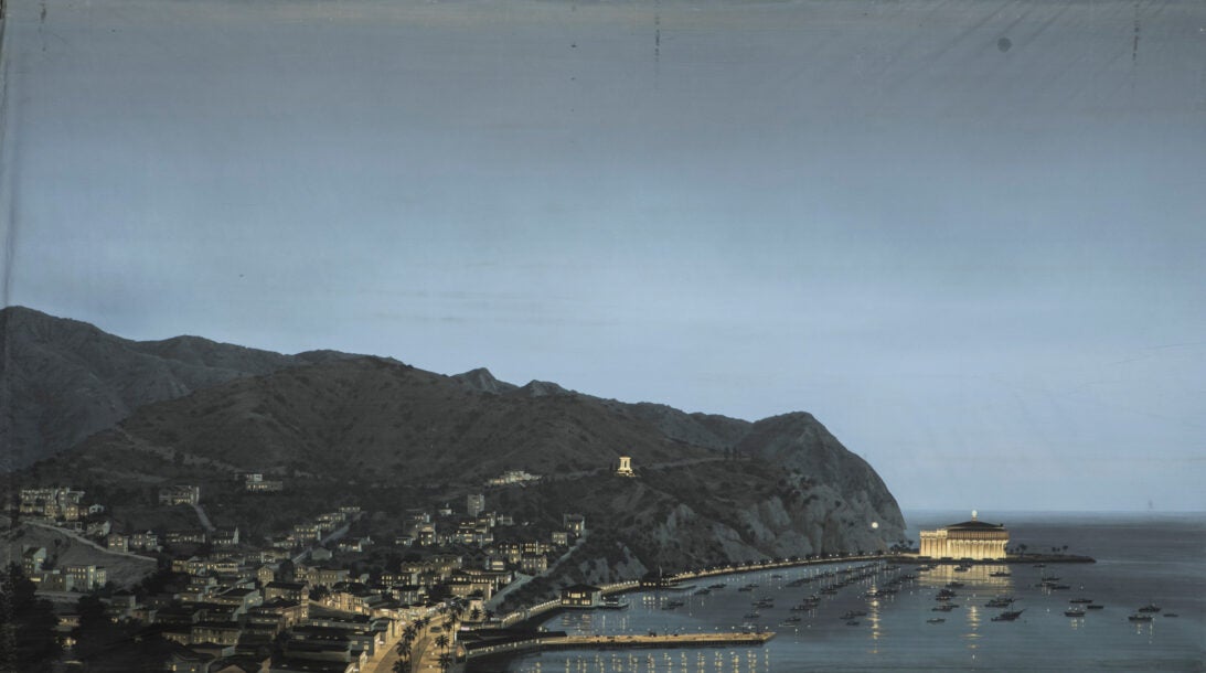 'View of Santa Catalina Island' backdrop from The Glass Bottom Boat