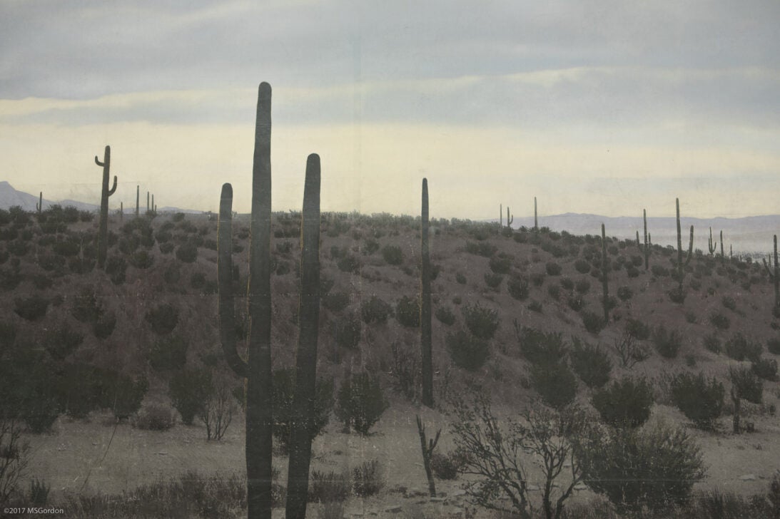 'Sonoran Desert' backdrop from The Outrage, detail shot