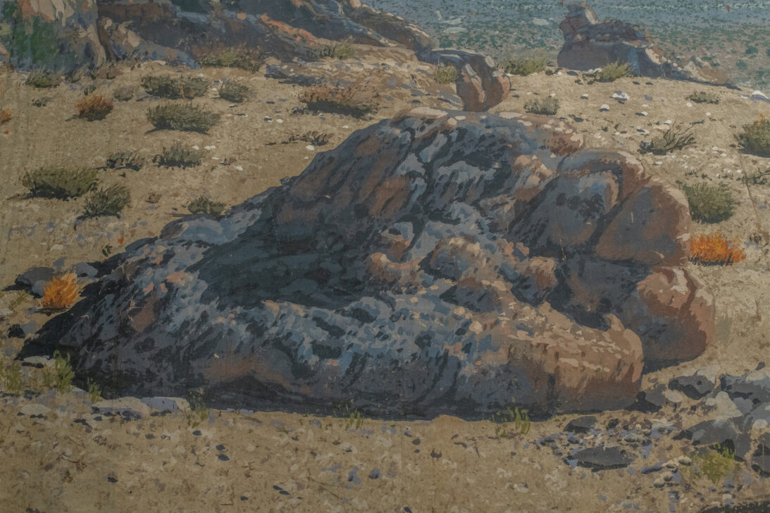 'New Zealand Desert' backdrop from Two Loves, detail shot