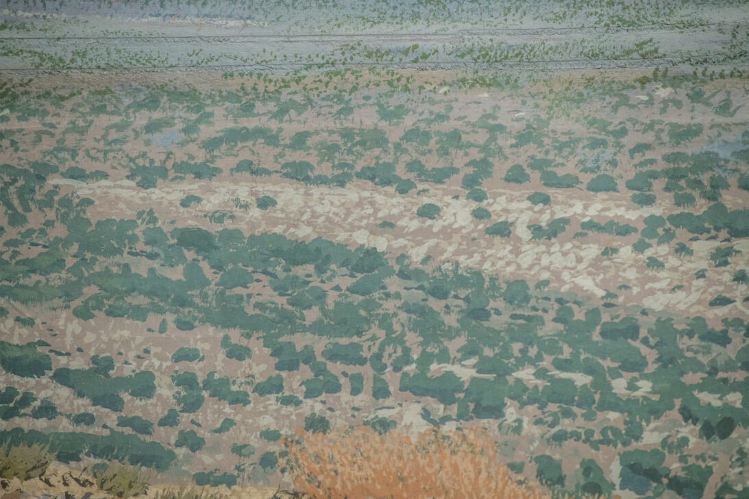 'New Zealand Desert' backdrop from Two Loves, detail shot