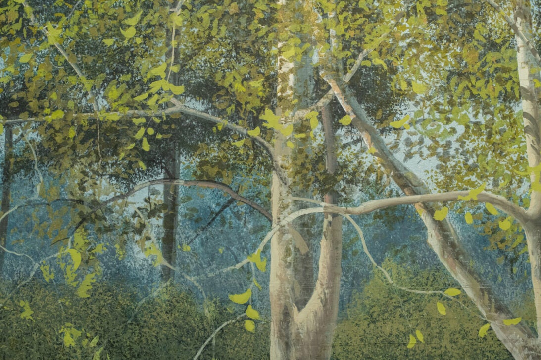 'Backyard Trees' backdrop from Unattributed, detail shot