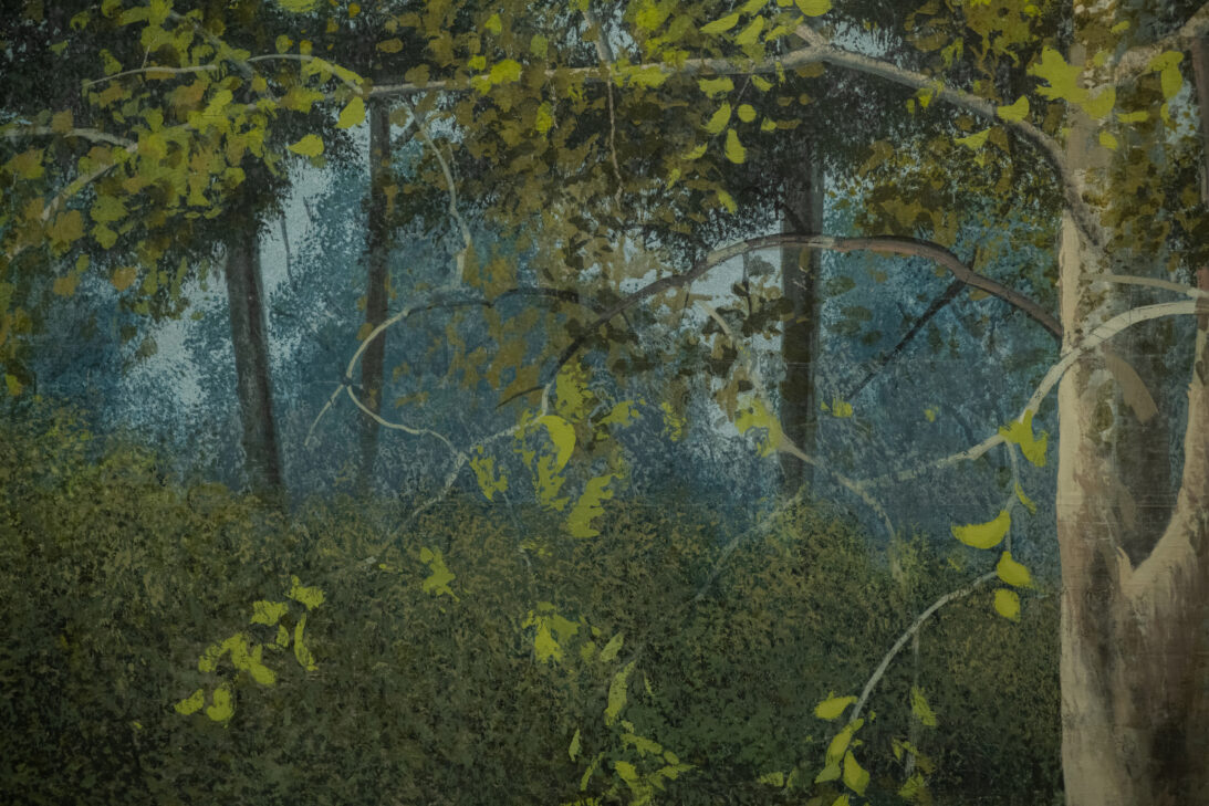 'Backyard Trees' backdrop from Unattributed, detail shot