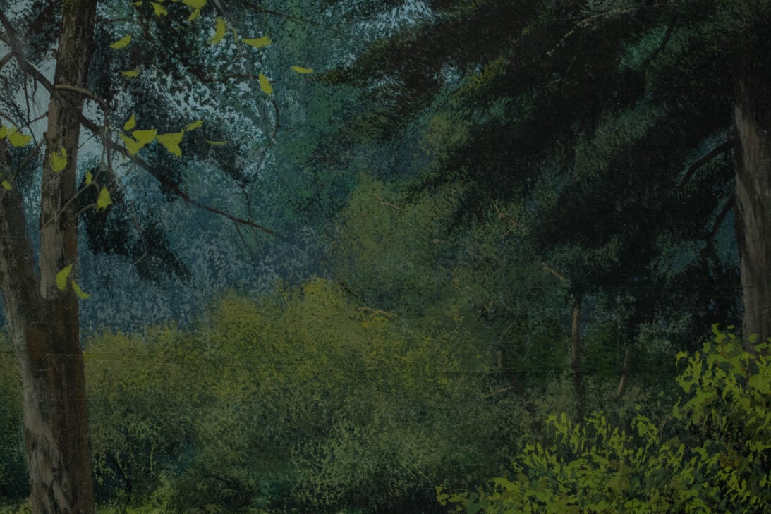 'Backyard Trees' backdrop from Unattributed, detail shot