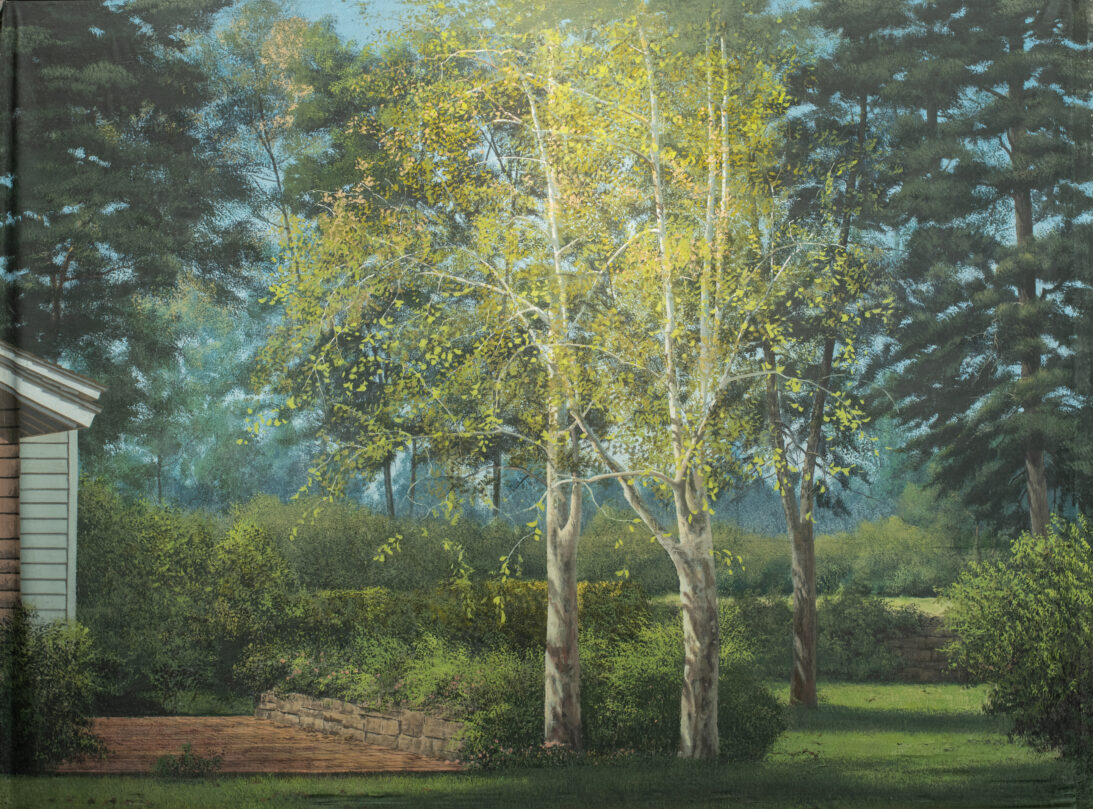 'Backyard Trees' backdrop from Unattributed