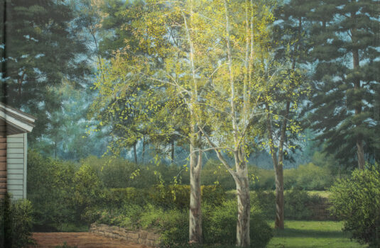 Backdrop from Unattributed: Backyard Trees