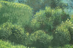'Garden Steps' backdrop from Unattributed, detail shot