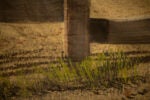 'Western Fence' backdrop from Unattributed, detail shot