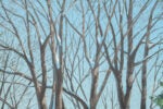 'Rural Farm, Winter' backdrop from Unattributed, detail shot