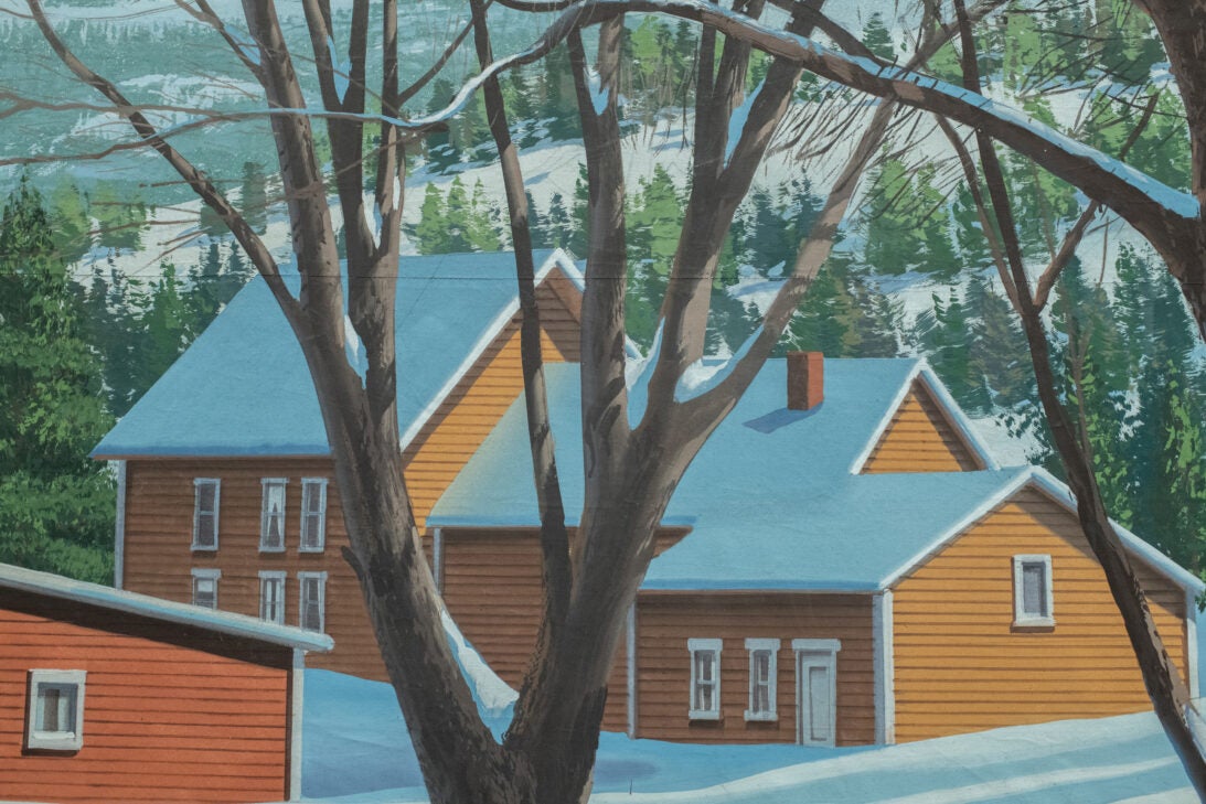 'Rural Farm, Winter' backdrop from Unattributed, detail shot